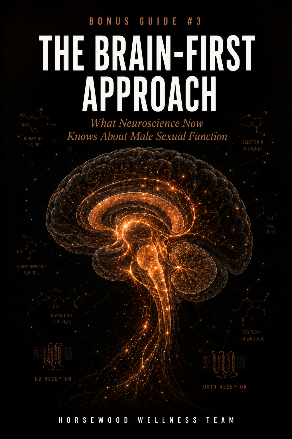 The Confidence Code ebook cover